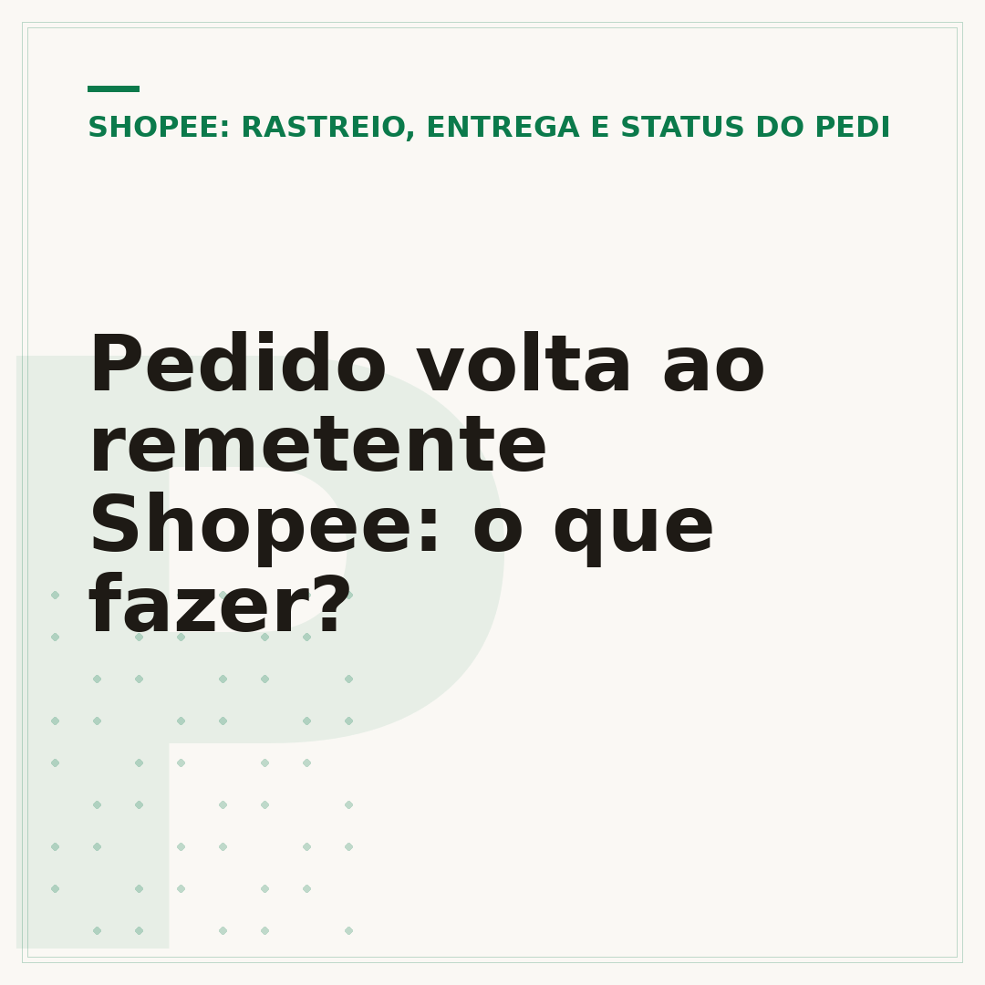 Pedido volta ao remetente Shopee: o que fazer?
