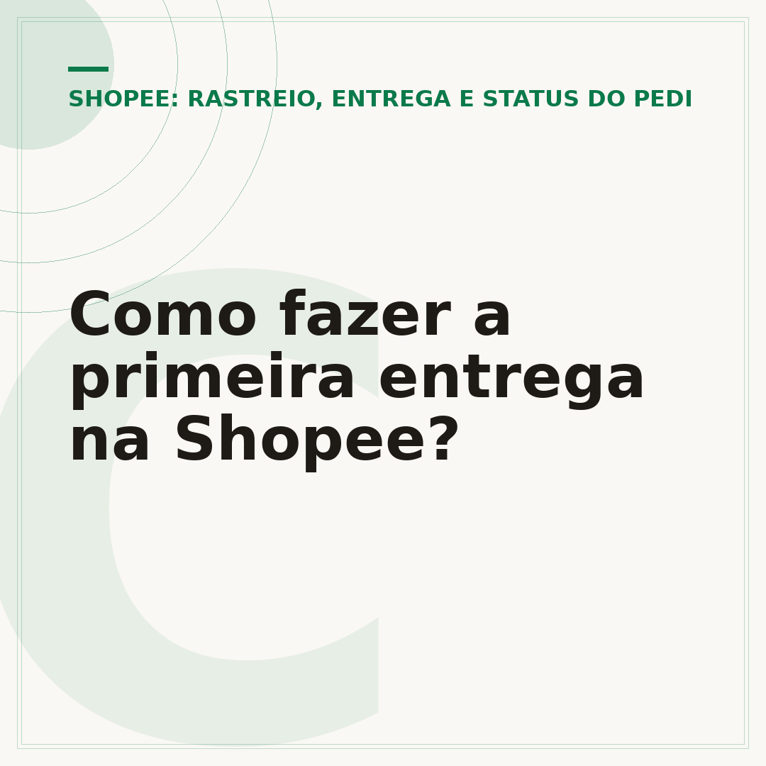 Como fazer a primeira entrega na Shopee?