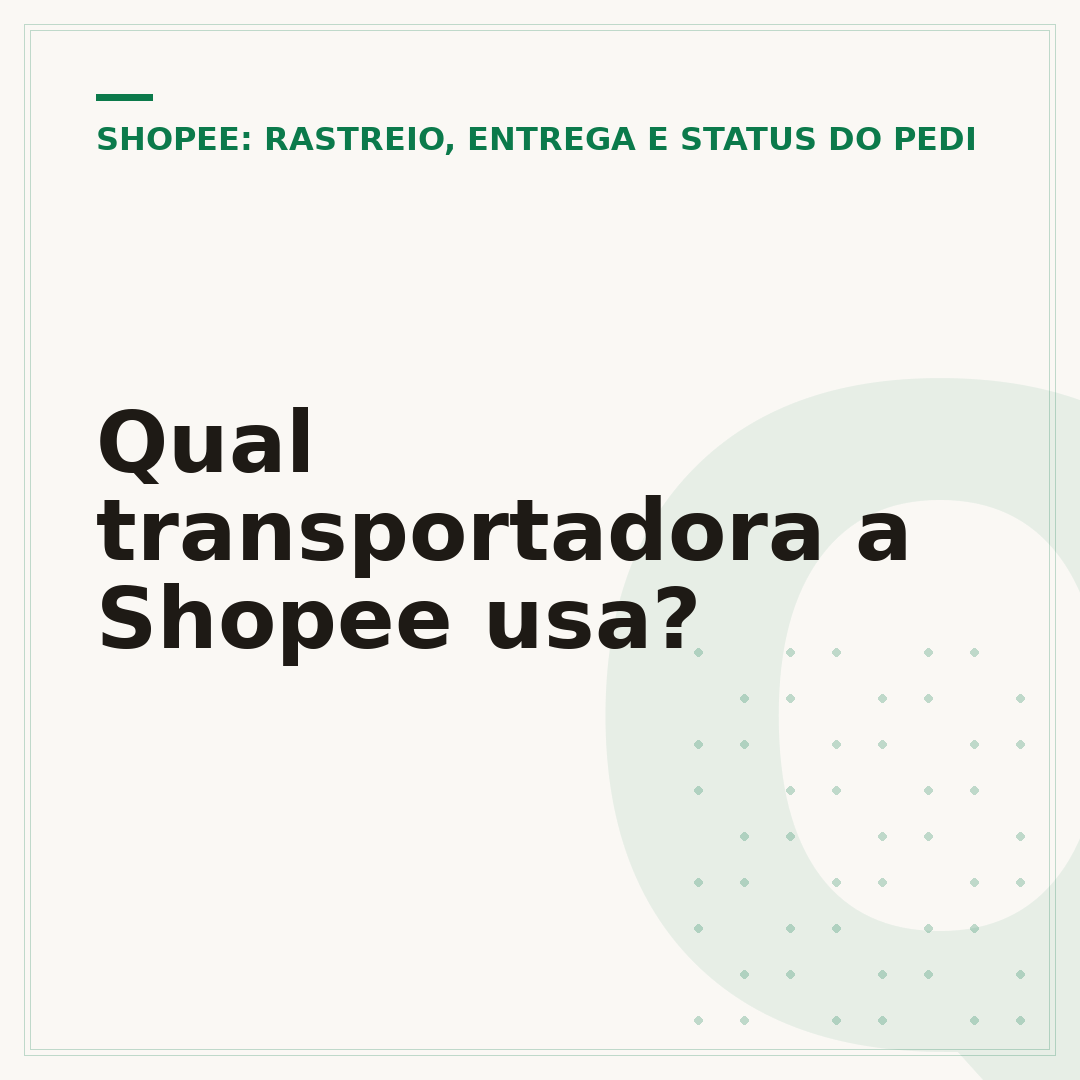 Qual transportadora a Shopee usa?