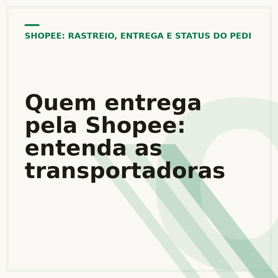 Quem entrega pela Shopee: entenda as transportadoras