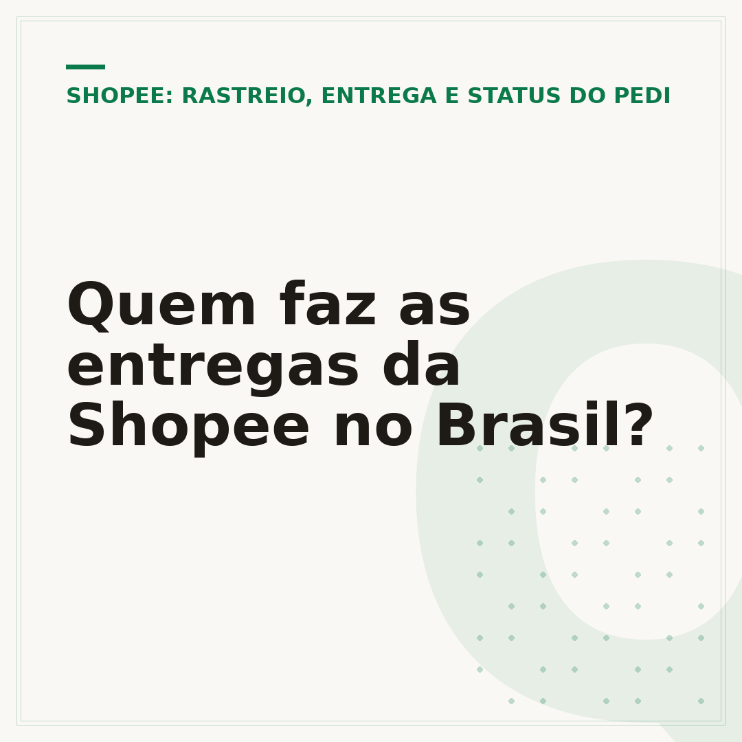 Quem faz as entregas da Shopee no Brasil?