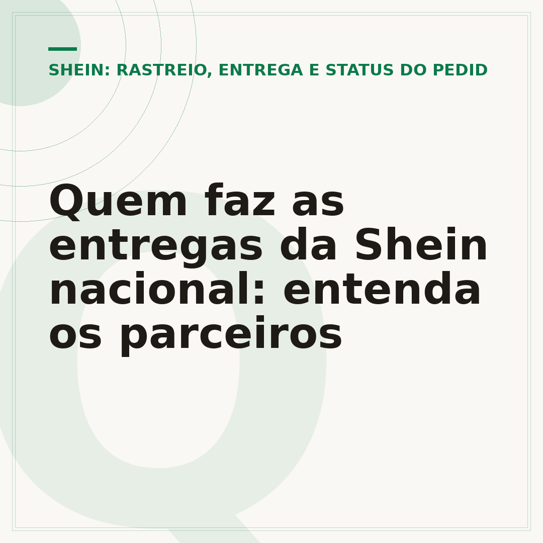 Quem faz as entregas da Shein nacional: entenda os parceiros
