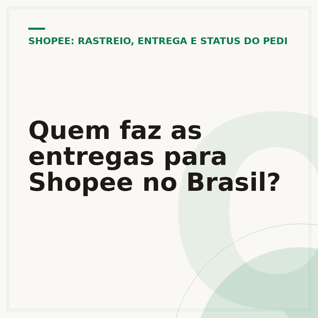 Quem faz as entregas para Shopee no Brasil?