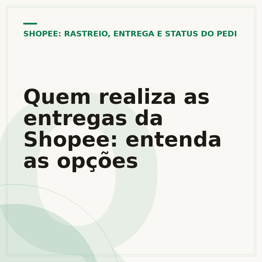 Quem realiza as entregas da Shopee: entenda as opções