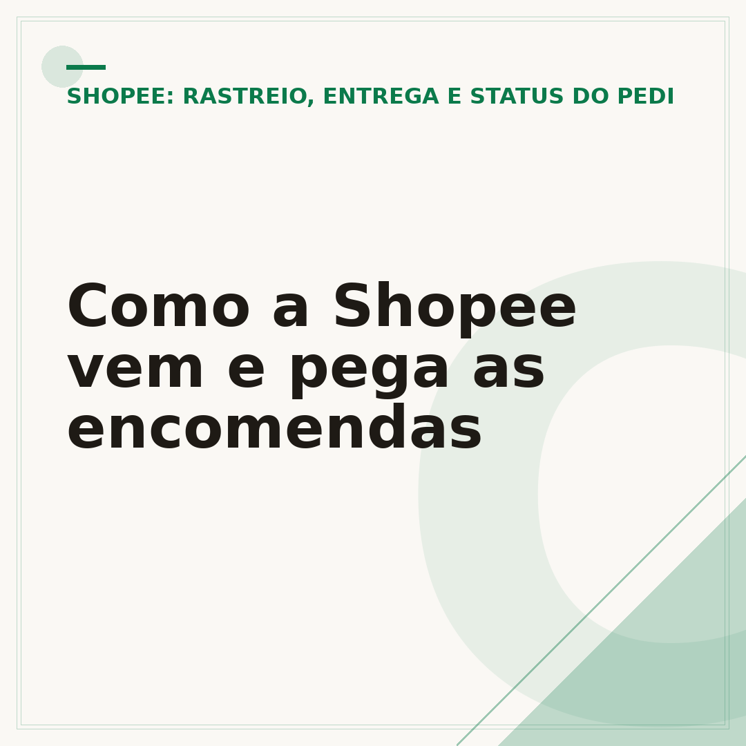 Como a Shopee vem e pega as encomendas