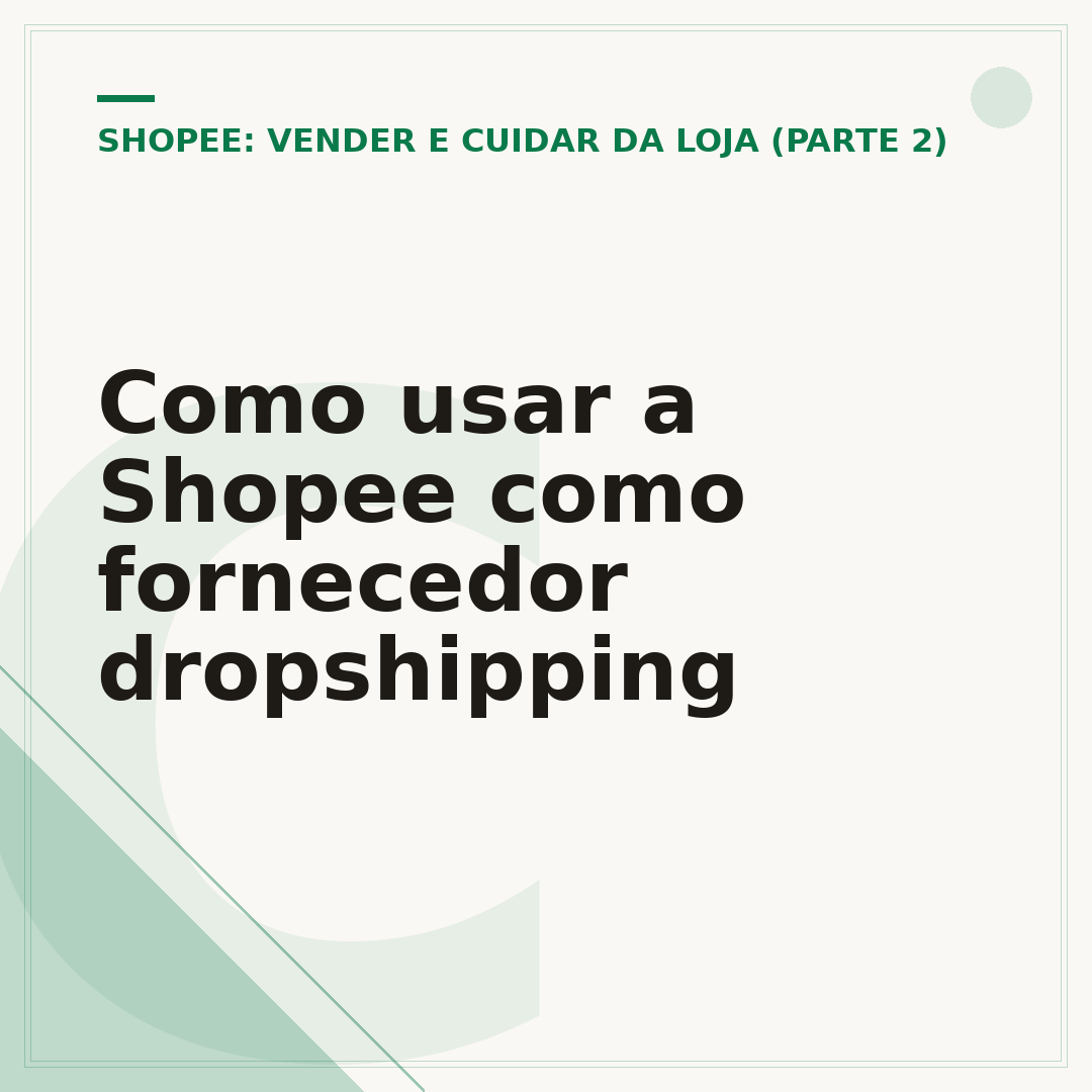Como usar a Shopee como fornecedor dropshipping
