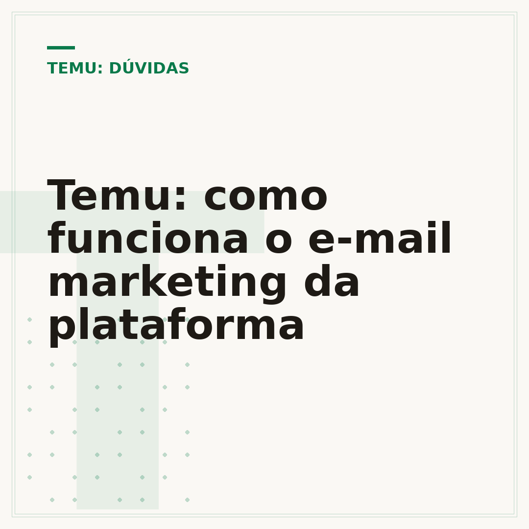 Temu: como funciona o e-mail marketing da plataforma