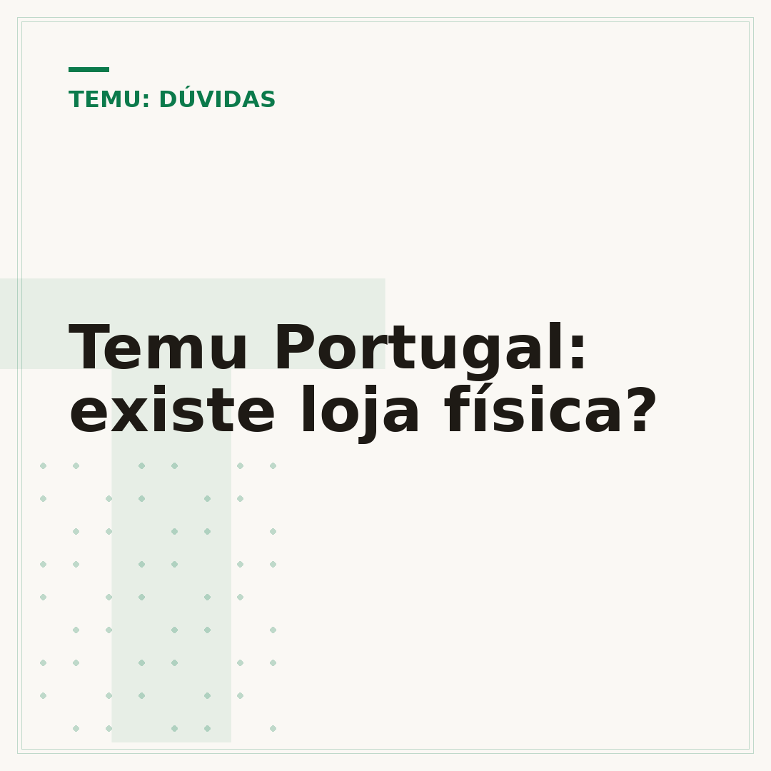 Temu Portugal: existe loja física?