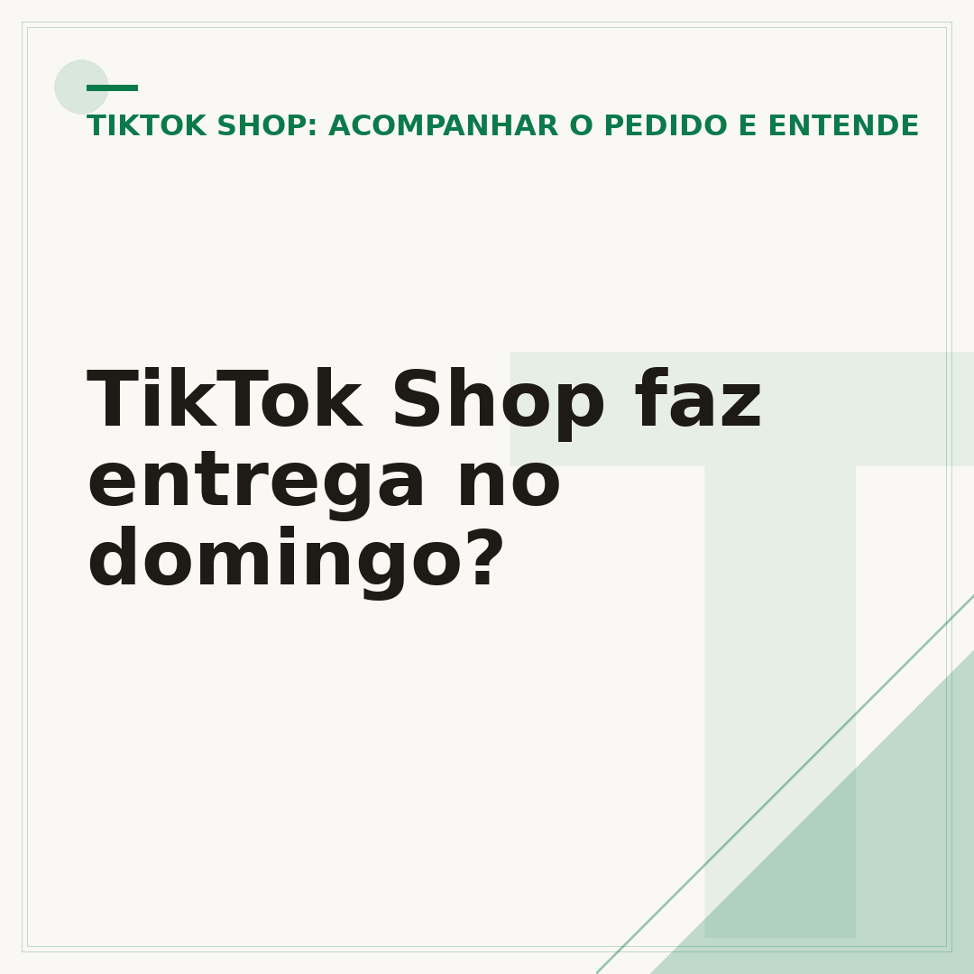 TikTok Shop faz entrega no domingo?
