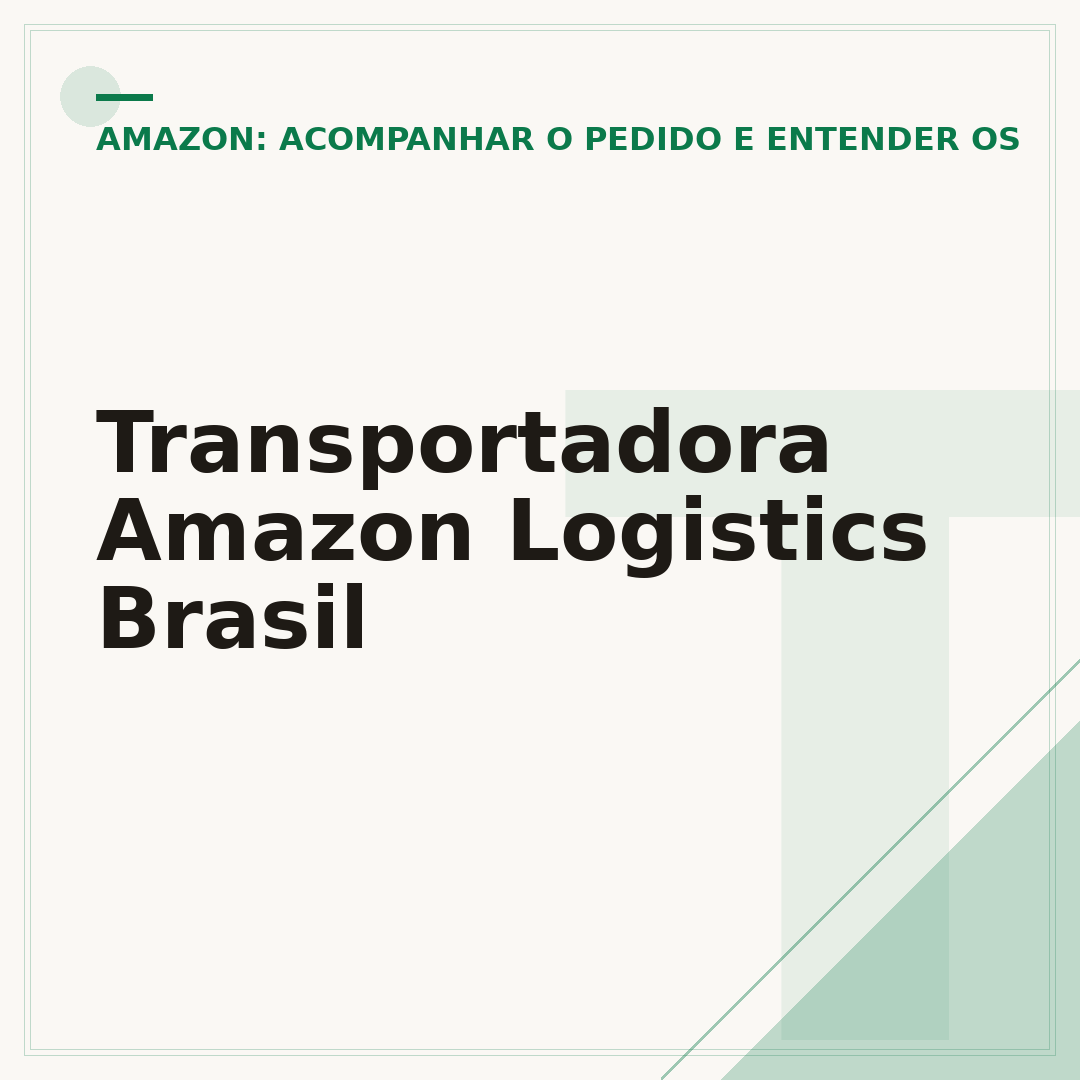 Transportadora Amazon Logistics Brasil
