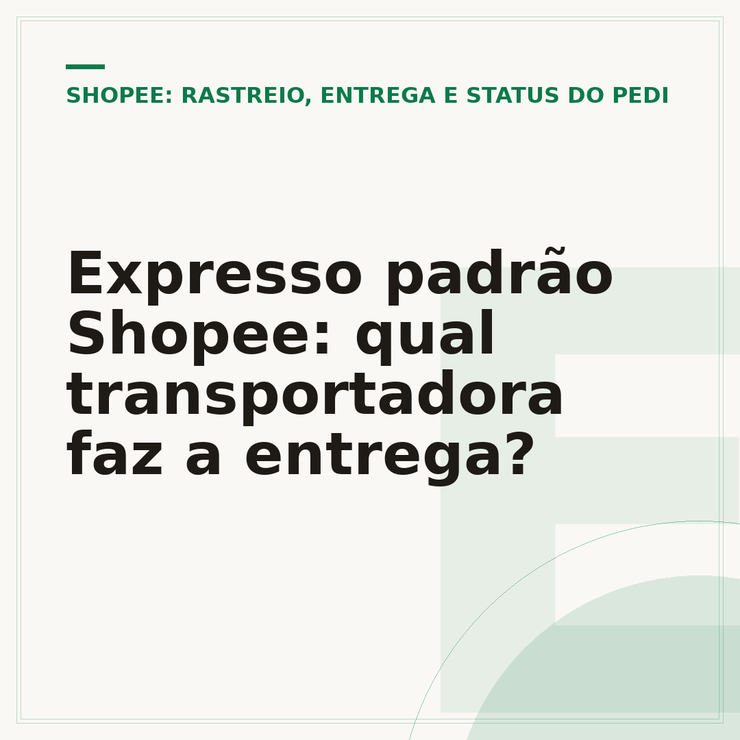 Expresso padrão Shopee: qual transportadora faz a entrega?