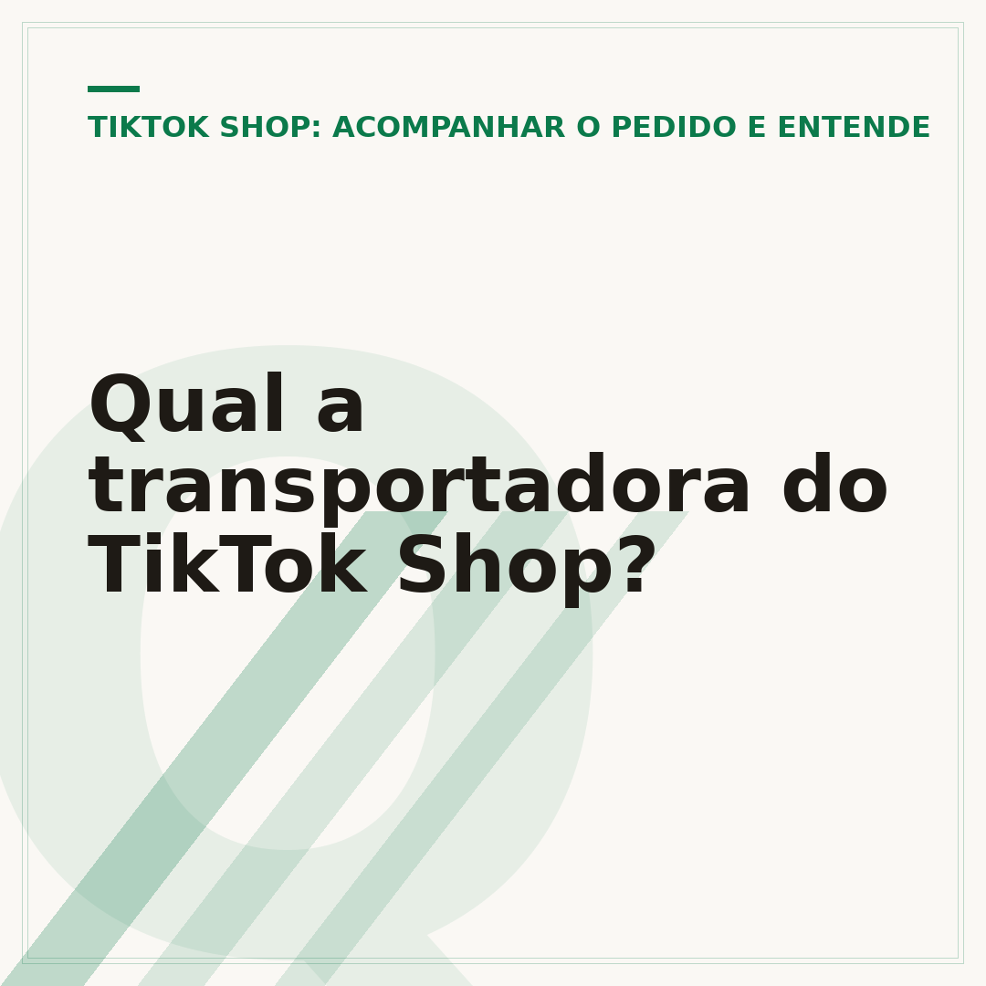 Qual a transportadora do TikTok Shop?