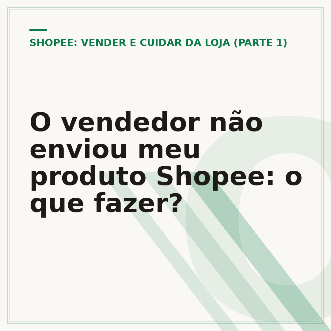 O vendedor não enviou meu produto Shopee: o que fazer?