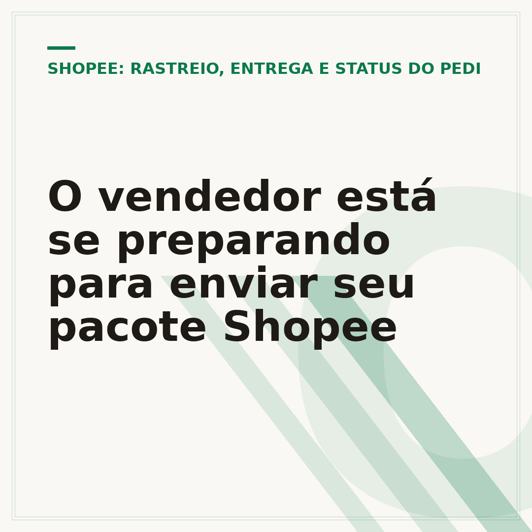 O vendedor está se preparando para enviar seu pacote Shopee