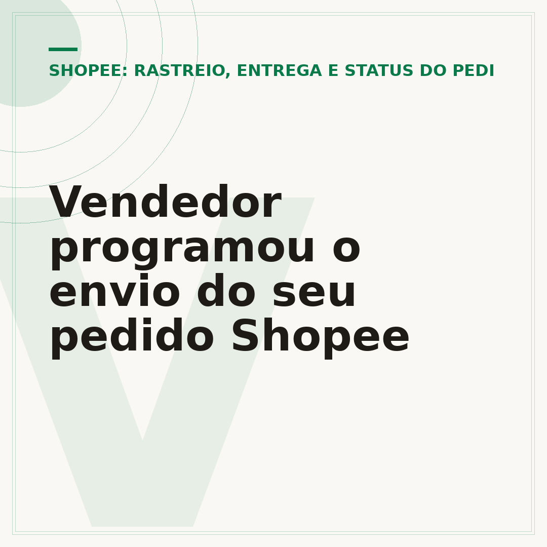 Vendedor programou o envio do seu pedido Shopee