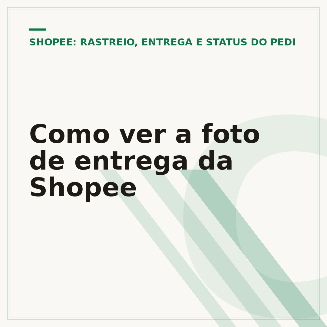 Como ver a foto de entrega da Shopee